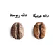 تفاوت های دانه عربیکا و ربوستا